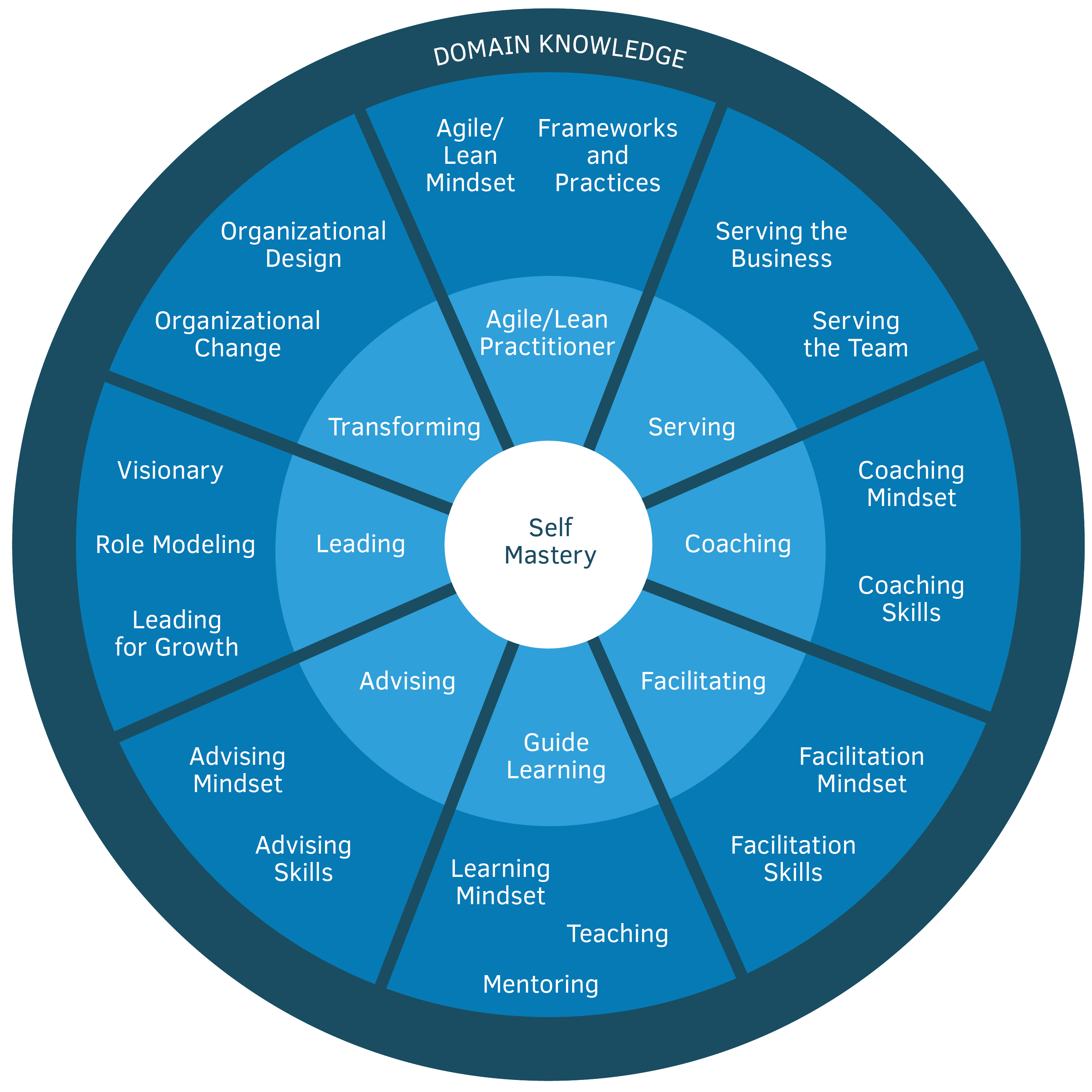 Agile Coaching Growth Wheel